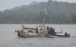 Otto, Portobelo danach